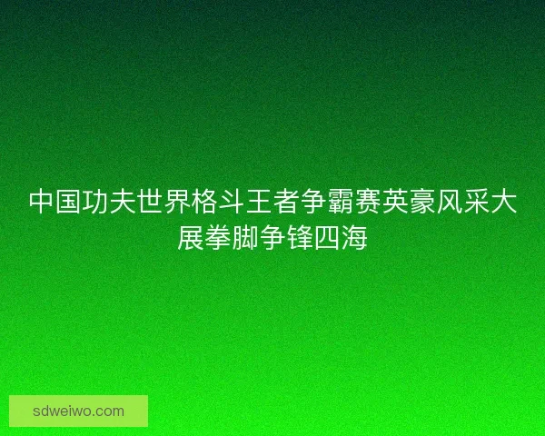 中国功夫世界格斗王者争霸赛英豪风采大展拳脚争锋四海